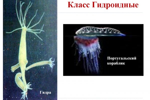 Как вернуть аккаунт на кракене
