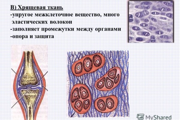 Ссылка кракен не работает